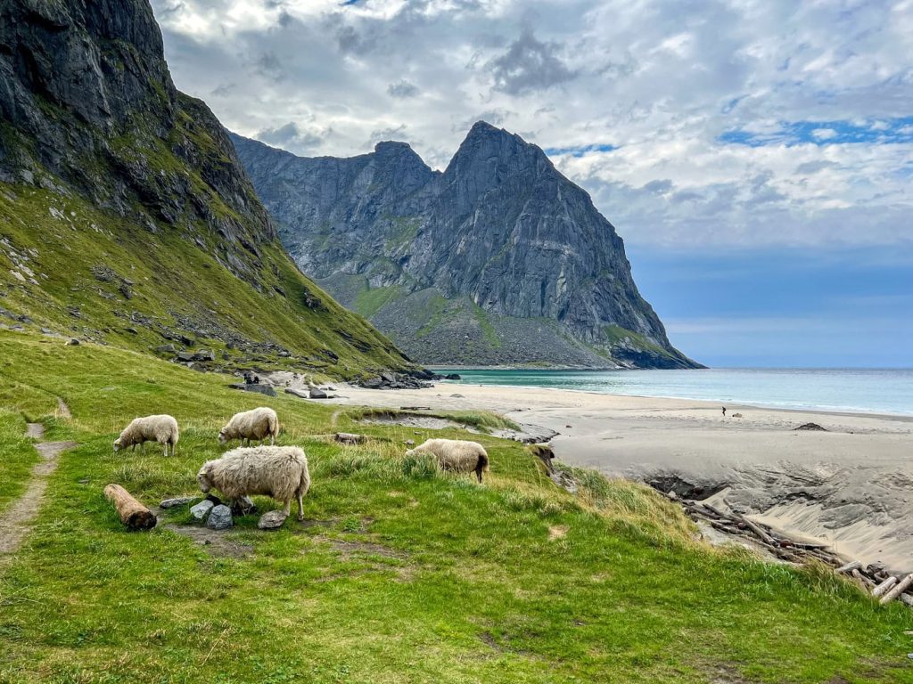 Wanderung zum Kvalvika Beach