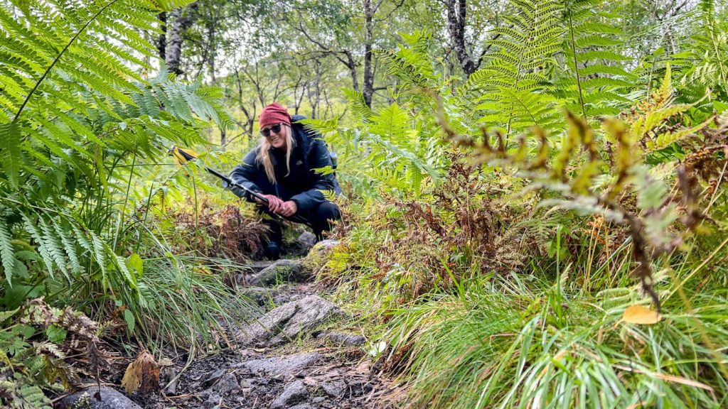 Wanderung zur DNT Hütte Nøkksetra