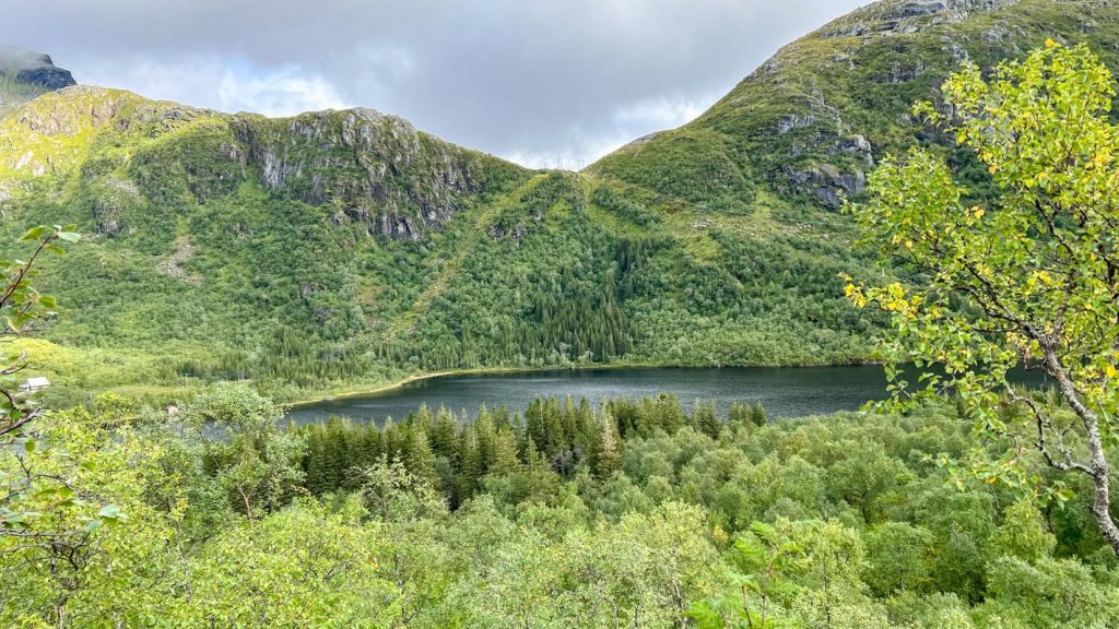 Wanderung zur DNT Hütte Nøkksetra